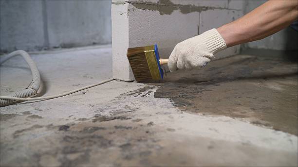SJ Waterproofing Pros Waterproofing coverage map for Camby, IN and surrounding area